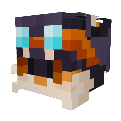 Cardpoet Minecraft avatar head, 3D render