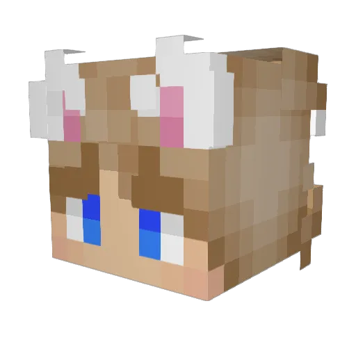 CardyPardy15 Minecraft avatar head, 3D render