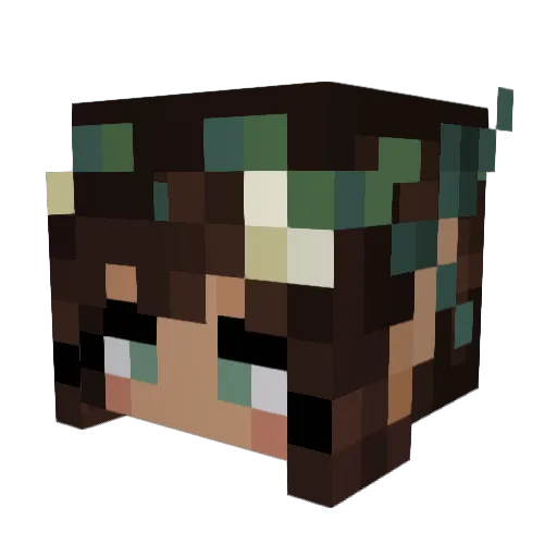 CareGames Minecraft avatar head, 3D render