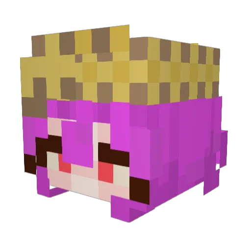 CarefulAsh3459 Minecraft avatar head, 3D render