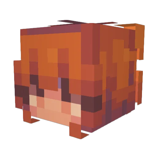 Carefulbug Minecraft avatar head, 3D render