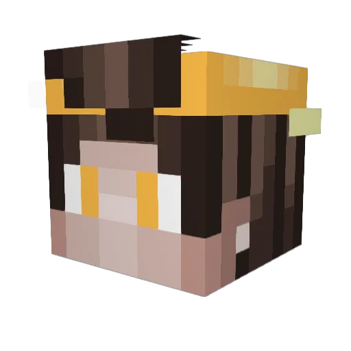 CarelessANX Minecraft avatar head, 3D render