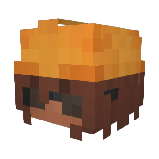 Carey_joe Minecraft avatar head, 3D render