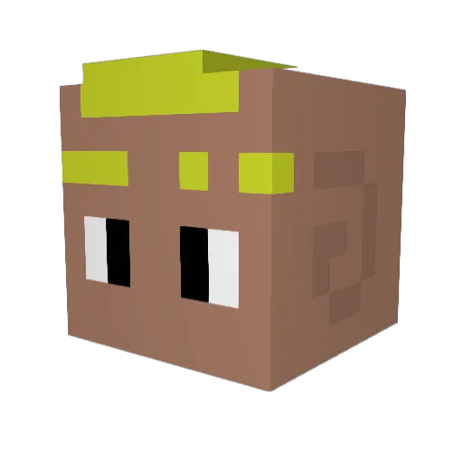 CargoBaleine Minecraft avatar head, 3D render