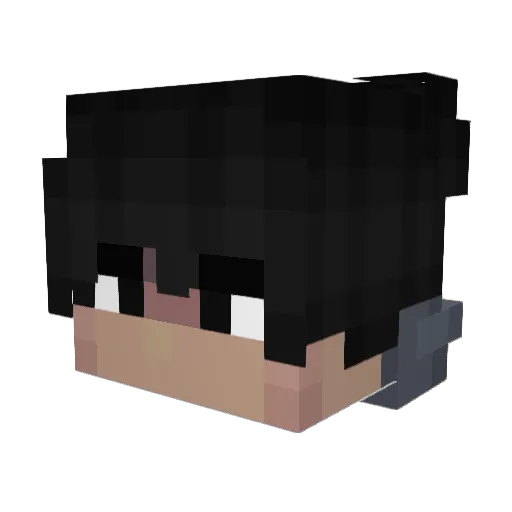Carguyforever Minecraft avatar head, 3D render