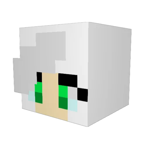 Carica1211 Minecraft avatar head, 3D render