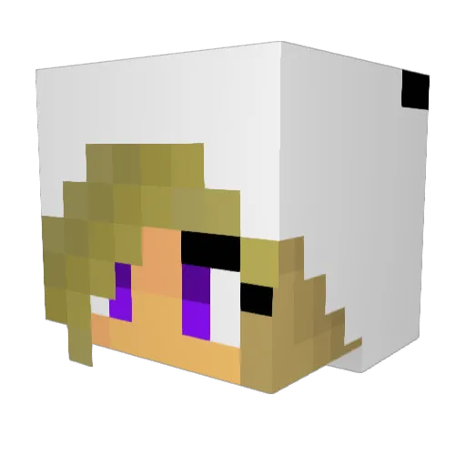 Carigana Minecraft avatar head, 3D render