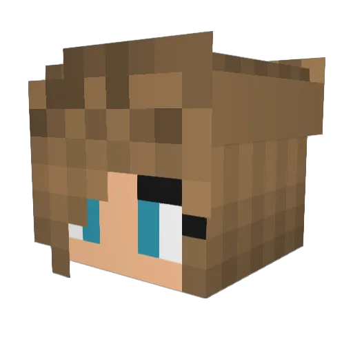 Carina_838 Minecraft avatar head, 3D render