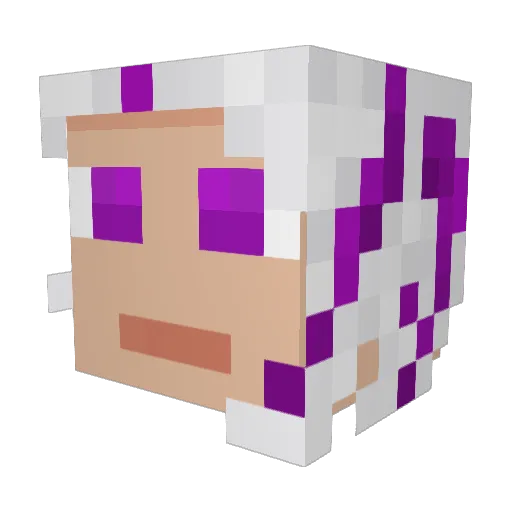 Cariont0 Minecraft avatar head, 3D render