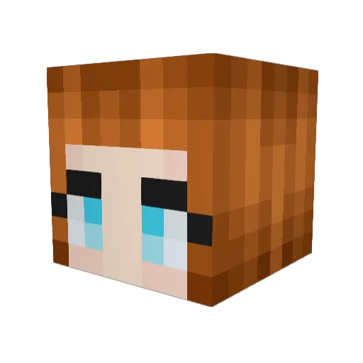 CarissRiss Minecraft avatar head, 3D render