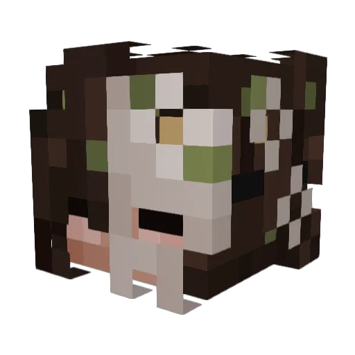 Carissa1762 Minecraft avatar head, 3D render
