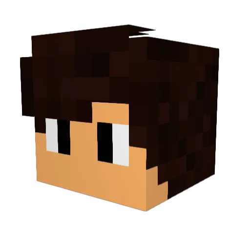 Carkin_ Minecraft avatar head, 3D render