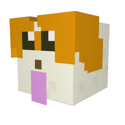 Carl183 Minecraft avatar head, 3D render
