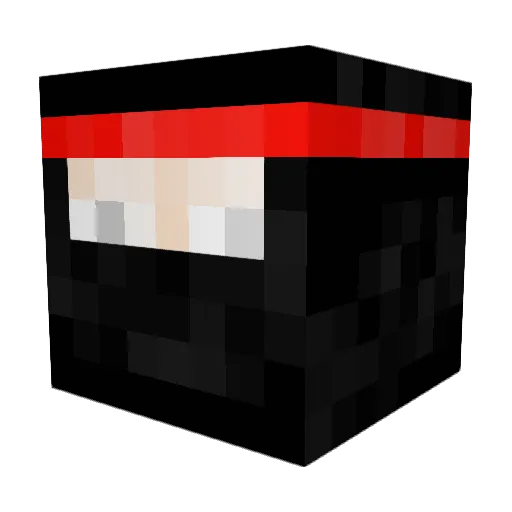 Carl1toz Minecraft avatar head, 3D render