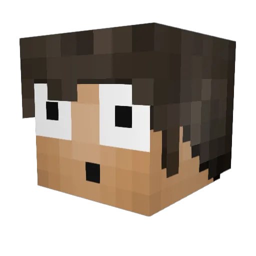 CarlBenis Minecraft avatar head, 3D render