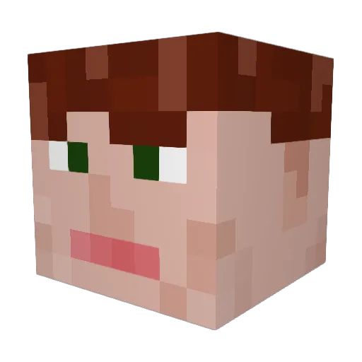CarlLand Minecraft avatar head, 3D render