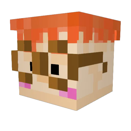 CarlWheezer97 Minecraft avatar head, 3D render