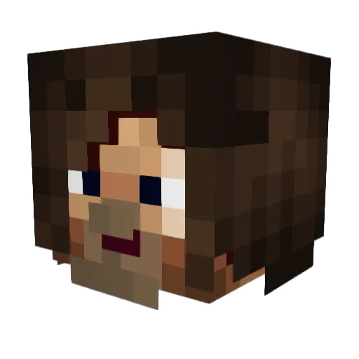 Carl_With006 Minecraft avatar head, 3D render