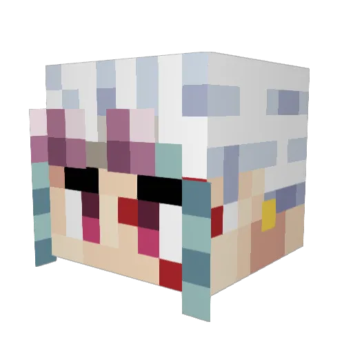 Carleighwarleigh Minecraft avatar head, 3D render