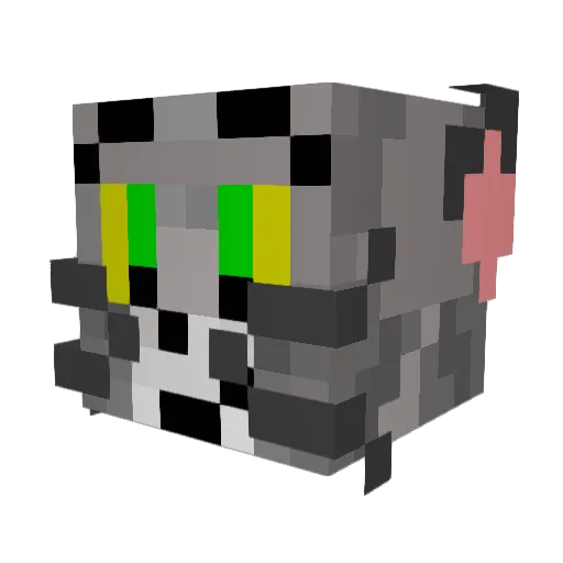 Carlieree Minecraft avatar head, 3D render