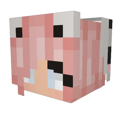 Carlijn99 Minecraft avatar head, 3D render