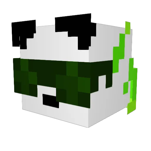 Carliminator Minecraft avatar head, 3D render
