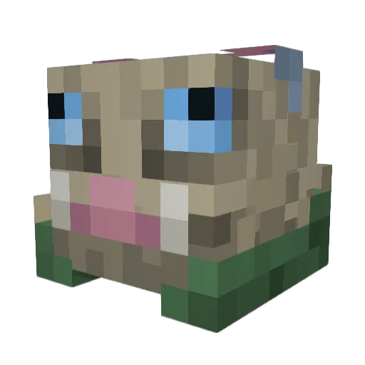 Carlin116 Minecraft avatar head, 3D render