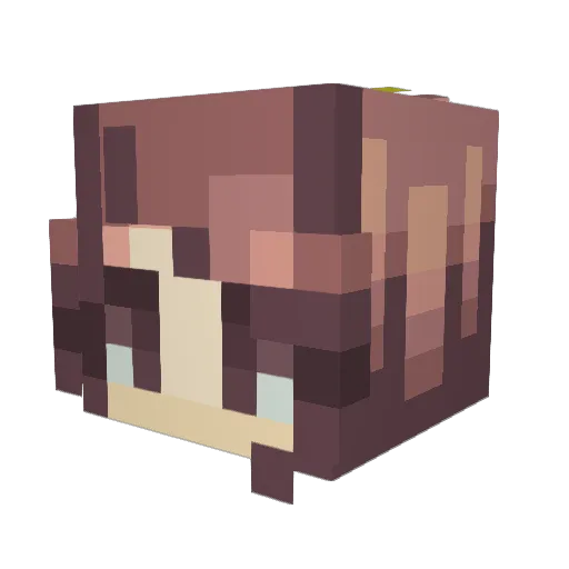 CarlisCarla Minecraft avatar head, 3D render