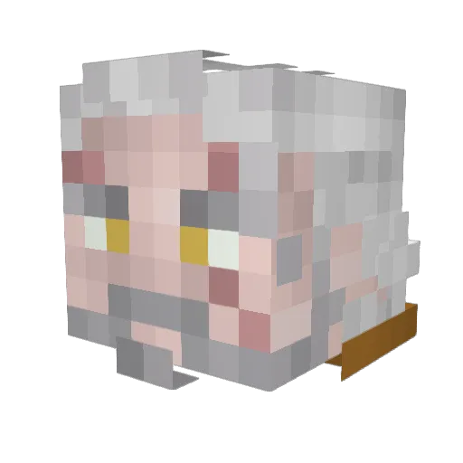 Carlitros_ Minecraft avatar head, 3D render
