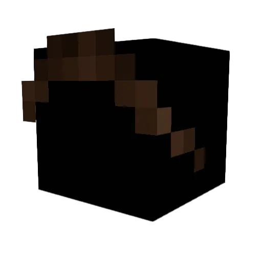 Carln2702 Minecraft avatar head, 3D render