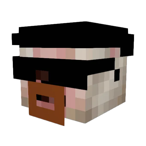 CarlosCO2 Minecraft avatar head, 3D render