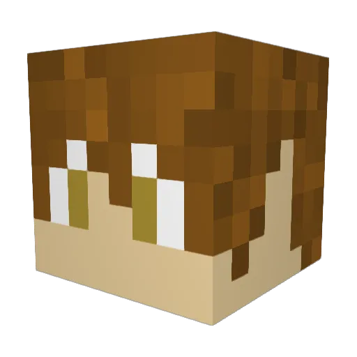 CarlosOfSuburbia Minecraft avatar head, 3D render