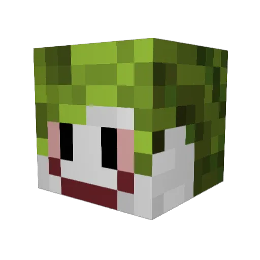 Carlosktm5 Minecraft avatar head, 3D render