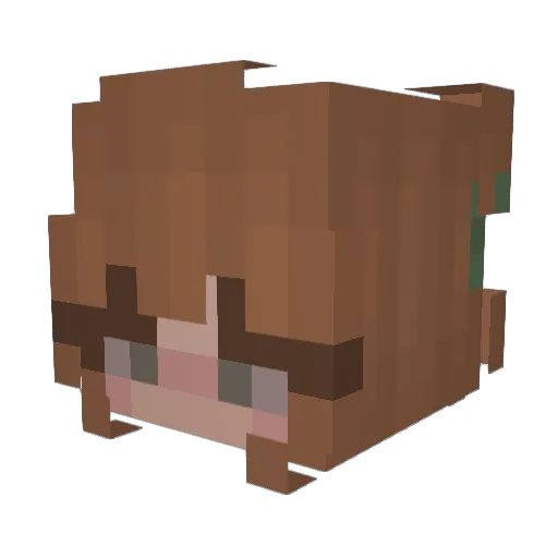 Carlottahorse Minecraft avatar head, 3D render