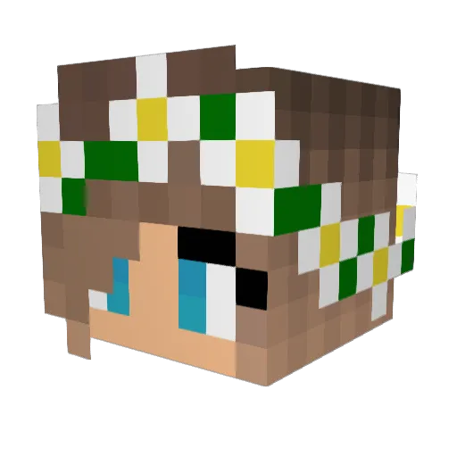 Carlpz Minecraft avatar head, 3D render