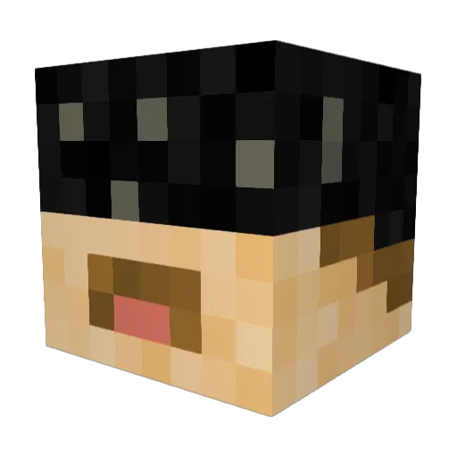 Carlstefan Minecraft avatar head, 3D render