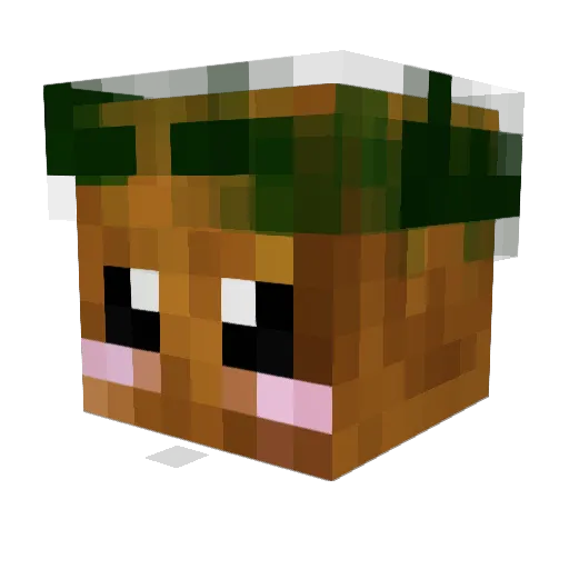 CarltonRat72 Minecraft avatar head, 3D render