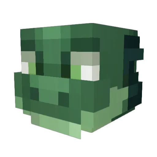 Carly_serena123 Minecraft avatar head, 3D render