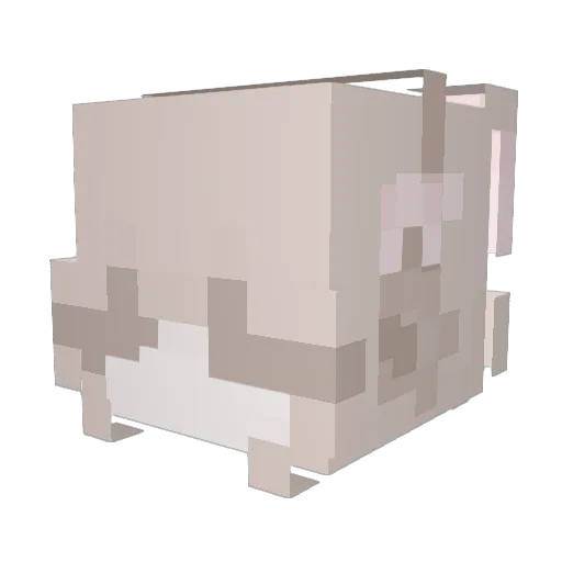 Carlyn Minecraft avatar head, 3D render