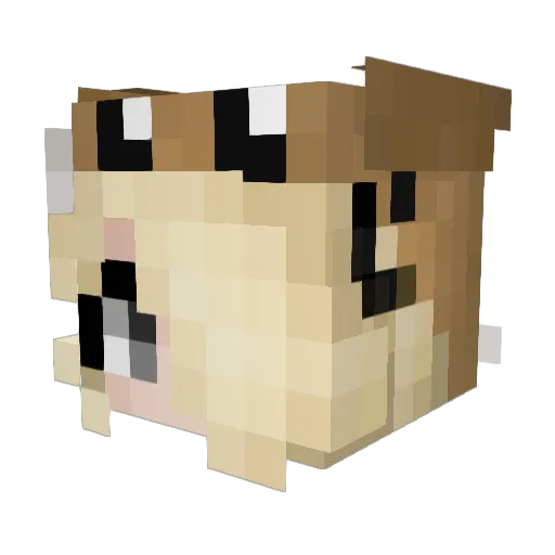 Carlyuwu Minecraft avatar head, 3D render