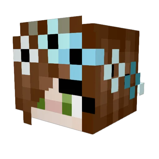 Carm_1014 Minecraft avatar head, 3D render