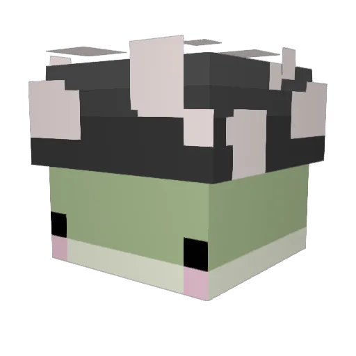 CarmaMagic Minecraft avatar head, 3D render