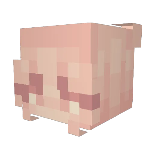 Carma_leon Minecraft avatar head, 3D render