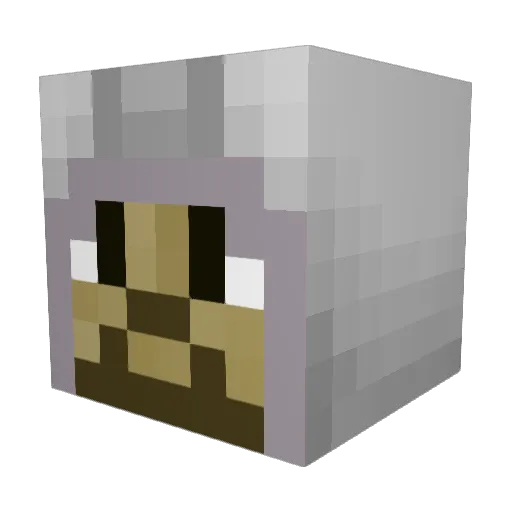 Carmantar Minecraft avatar head, 3D render
