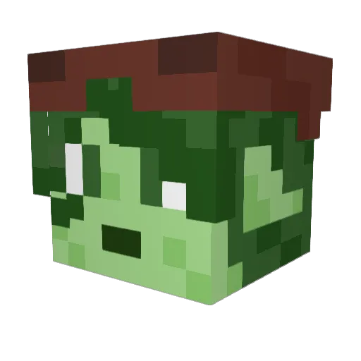Carmel_the_cat Minecraft avatar head, 3D render