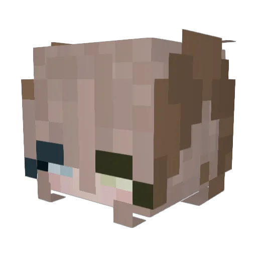 Carmelek_carmi Minecraft avatar head, 3D render