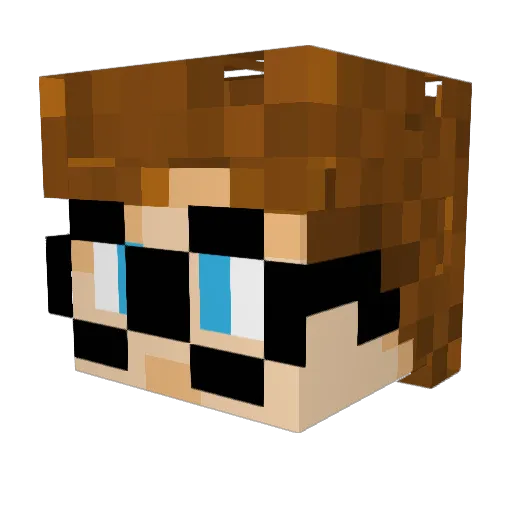 Carmine8751 Minecraft avatar head, 3D render