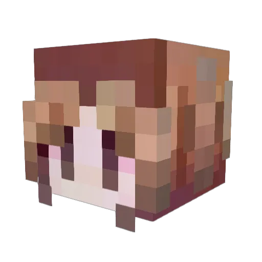 CarnaVastle Minecraft avatar head, 3D render