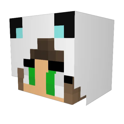 Carnage762 Minecraft avatar head, 3D render