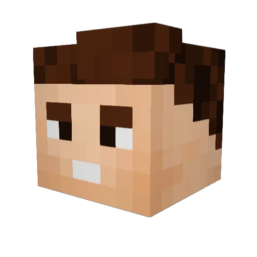 Carni0 Minecraft avatar head, 3D render
